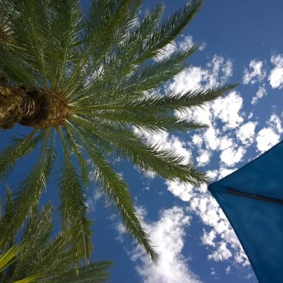 Meet your Posher, Shannon - Picture 5 of 8